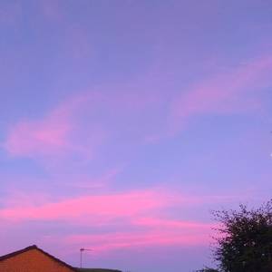 蔡司电影免费观看完整版
